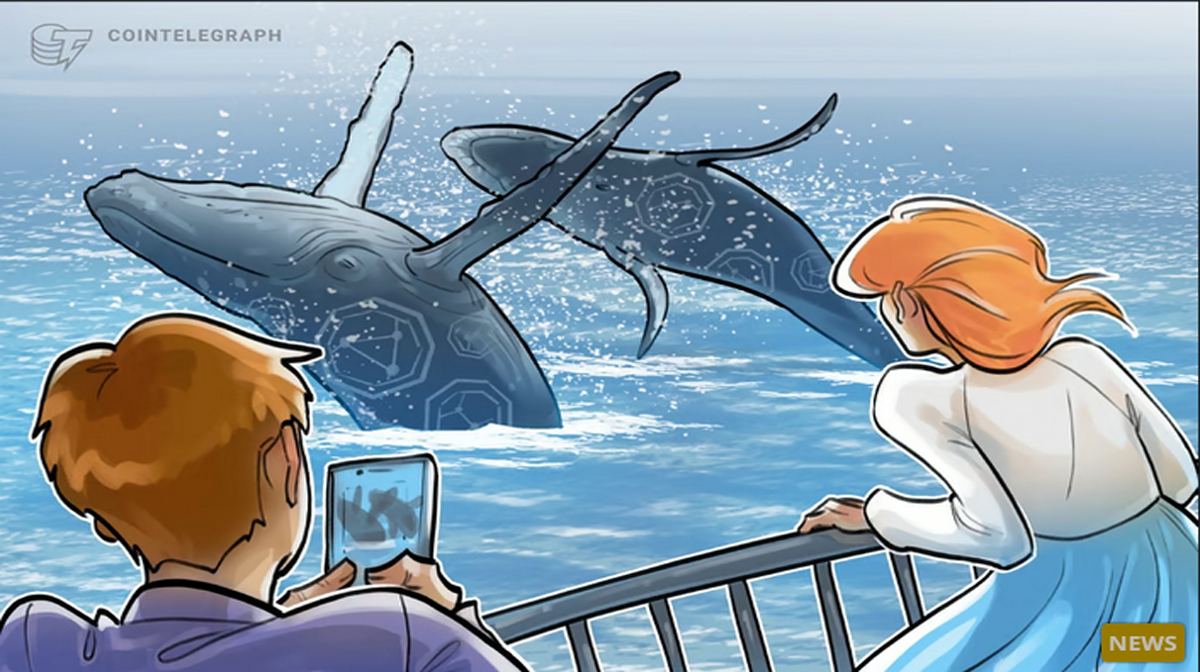 Whales are preparing for the next altcoin rally CryptoQuant founder